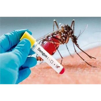 موردی از تب دنگی در کرمانشاه نداشته‌ایم